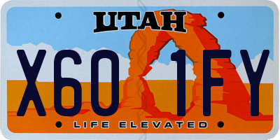 UT license plate X601FY