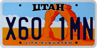 UT license plate X601MN