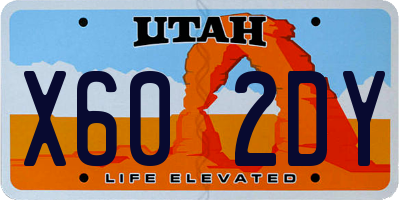UT license plate X602DY