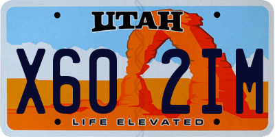 UT license plate X602IM