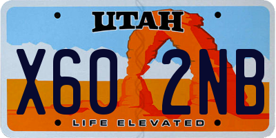 UT license plate X602NB