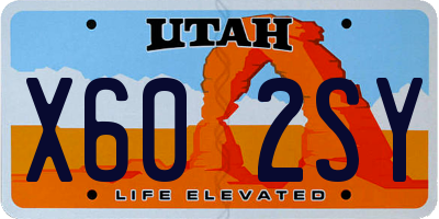 UT license plate X602SY