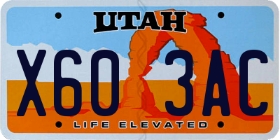 UT license plate X603AC