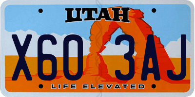UT license plate X603AJ