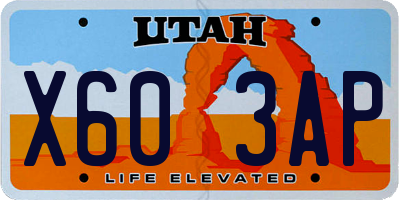 UT license plate X603AP