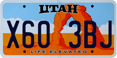 UT license plate X603BJ