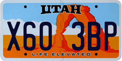 UT license plate X603BP