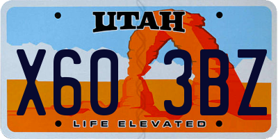 UT license plate X603BZ