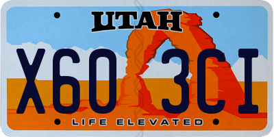 UT license plate X603CI