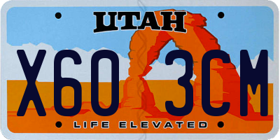 UT license plate X603CM