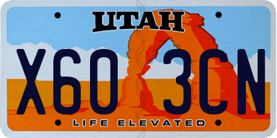 UT license plate X603CN