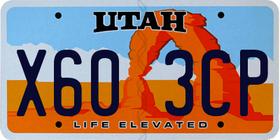 UT license plate X603CP