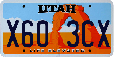 UT license plate X603CX