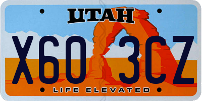 UT license plate X603CZ