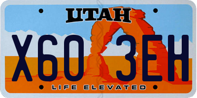 UT license plate X603EH