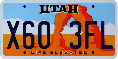 UT license plate X603FL