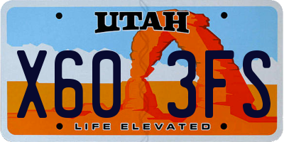 UT license plate X603FS