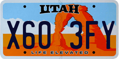 UT license plate X603FY