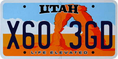 UT license plate X603GD