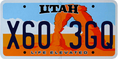 UT license plate X603GQ