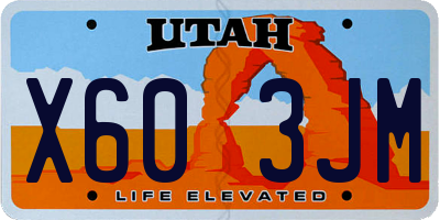 UT license plate X603JM