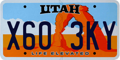 UT license plate X603KY