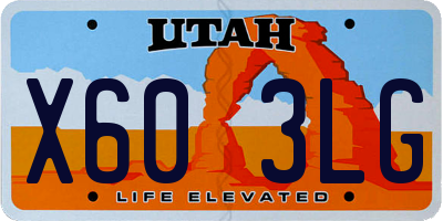 UT license plate X603LG