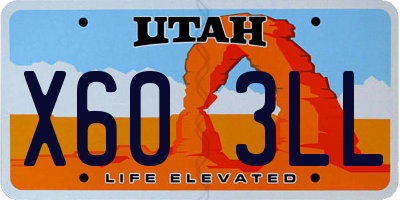 UT license plate X603LL
