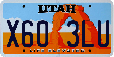 UT license plate X603LU