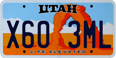 UT license plate X603ML