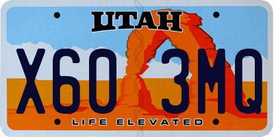 UT license plate X603MQ