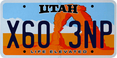 UT license plate X603NP
