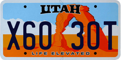 UT license plate X603OT