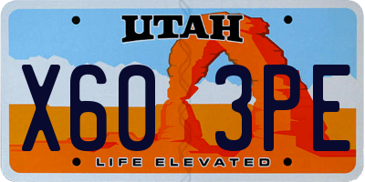 UT license plate X603PE