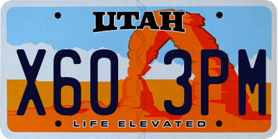 UT license plate X603PM