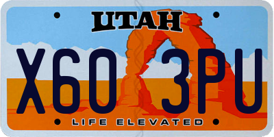 UT license plate X603PU
