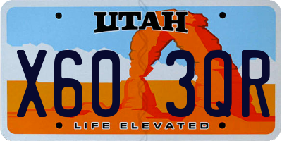 UT license plate X603QR