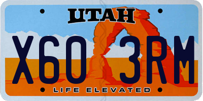 UT license plate X603RM