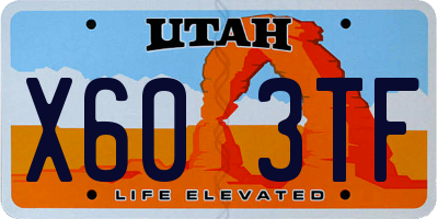 UT license plate X603TF