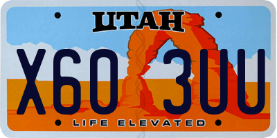 UT license plate X603UU