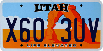 UT license plate X603UV