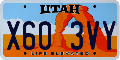 UT license plate X603VY