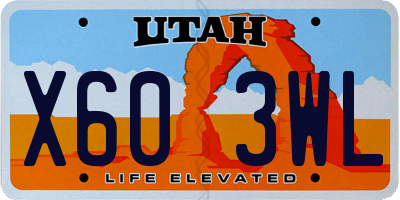 UT license plate X603WL