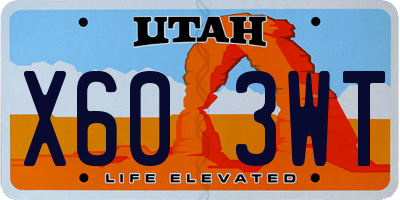 UT license plate X603WT