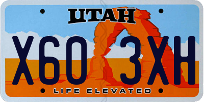 UT license plate X603XH