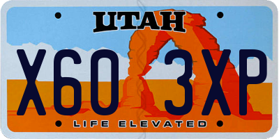 UT license plate X603XP