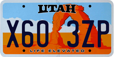 UT license plate X603ZP