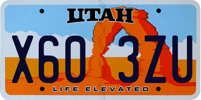UT license plate X603ZU