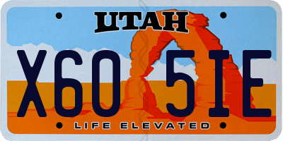 UT license plate X605IE