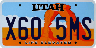 UT license plate X605MS